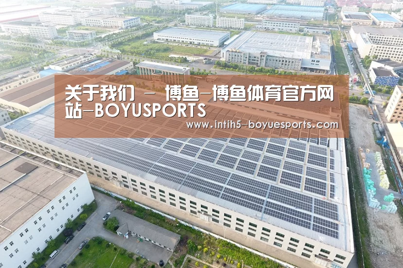 案例展示一