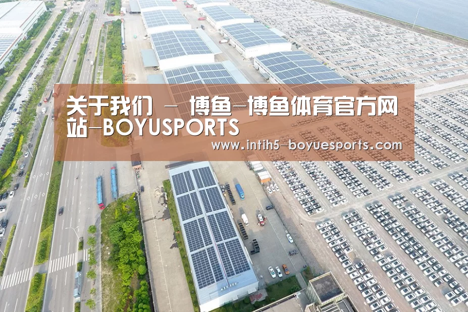 案例展示一