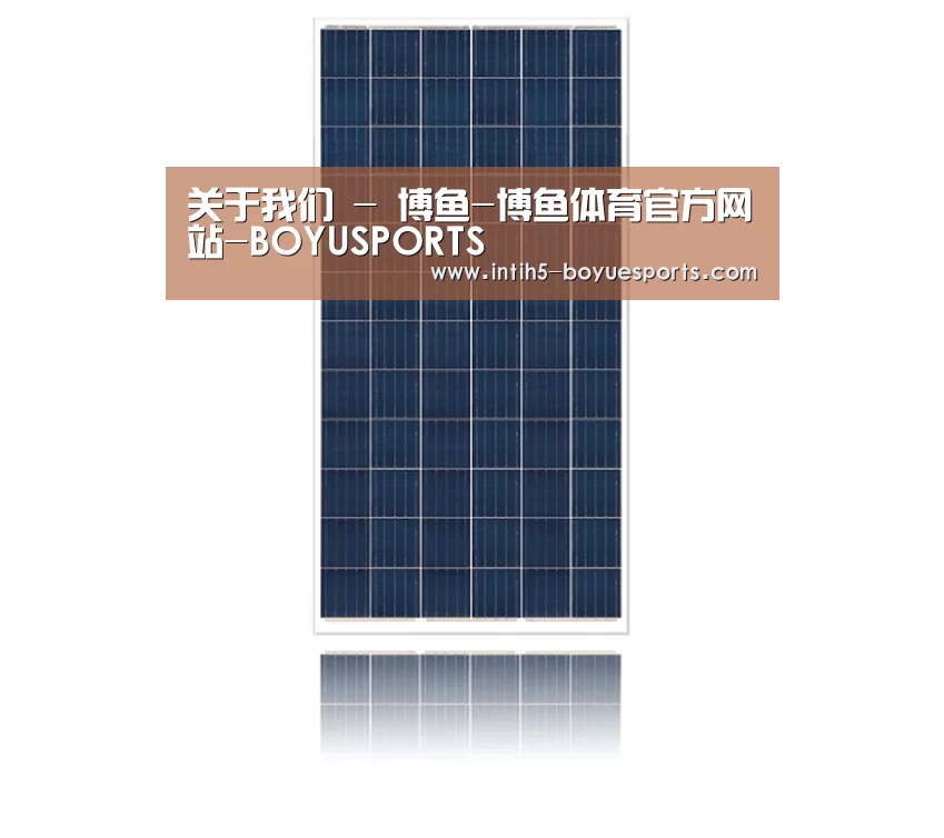 产品名称一