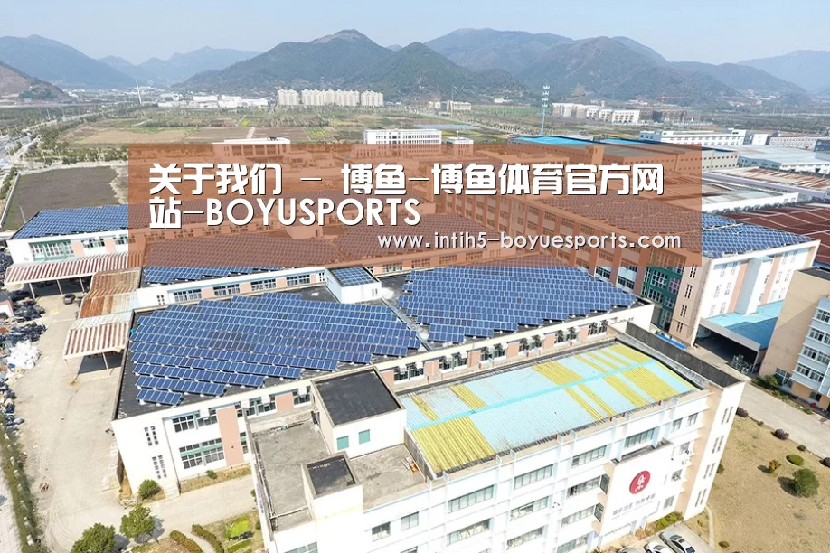案例展示三