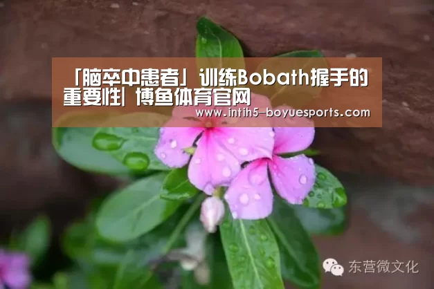 「脑卒中患者」训练Bobath握手的重要性| 博鱼体育官网(图2) BOYU Sports