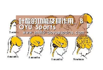 叶酸的功能及其作用_ BOYU Sports(图1) 博鱼体育平台