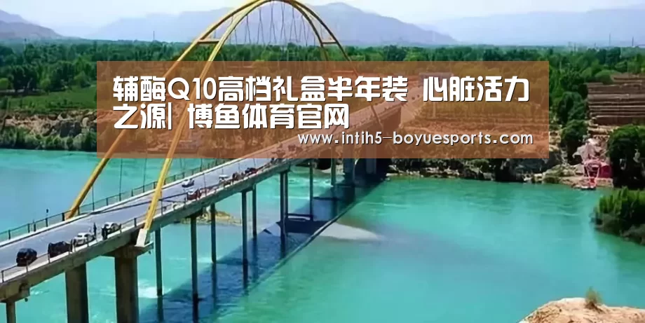辅酶Q10高档礼盒半年装 心脏活力之源| 博鱼体育官网(图2) BOYU Sports