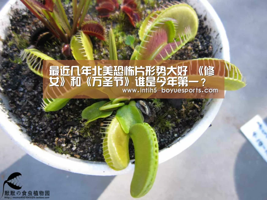 最近几年北美恐怖片形势大好 《修女》和《万圣节》谁是今年第一?【博鱼体育】(图2) 博鱼官方网站入口